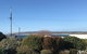 Berds Nest - thumb 3