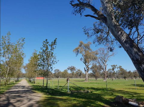 Big Tiny Jindera Park - Accommodation Gladstone 3