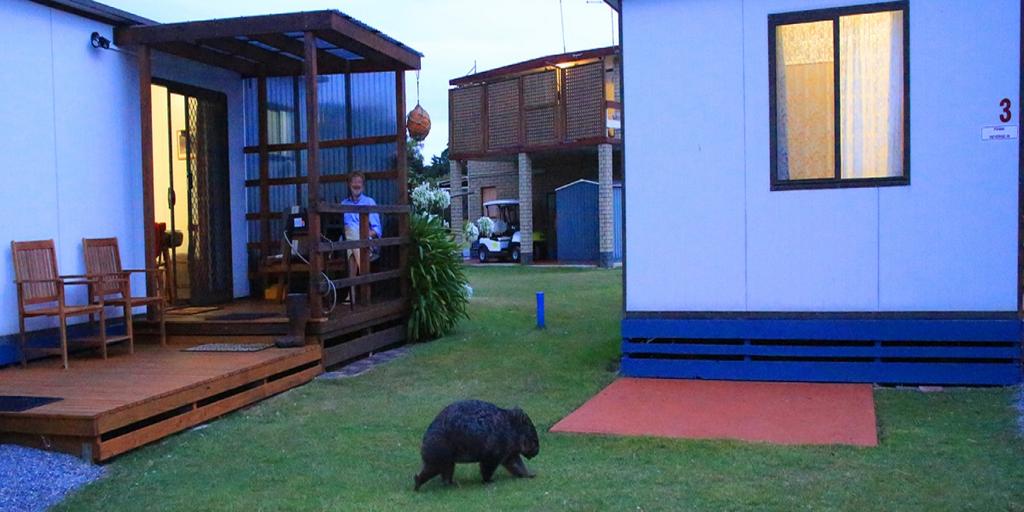 Kelso TAS Accommodation Gladstone