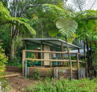 Binna Burra Rainforest Campsite - Accommodation Gladstone