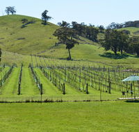 Blue House at Mountainside Wines - Accommodation Gladstone