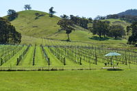 Book Mount Cole Accommodation Vacations Accommodation Gladstone Accommodation Gladstone