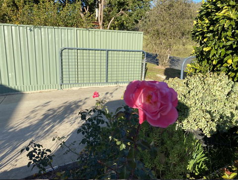 Blue Manor On Fairway - Accommodation Gladstone 2