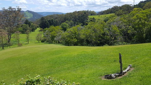 Blue Summit Cottages - Accommodation Gladstone 3