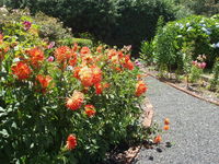 Book Boat Harbour Accommodation Vacations Accommodation Gladstone Accommodation Gladstone