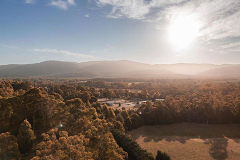 The Mill Houses Narbethong - Accommodation Gladstone 1