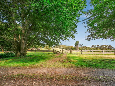 The Source, Otways - Accommodation Gladstone 3