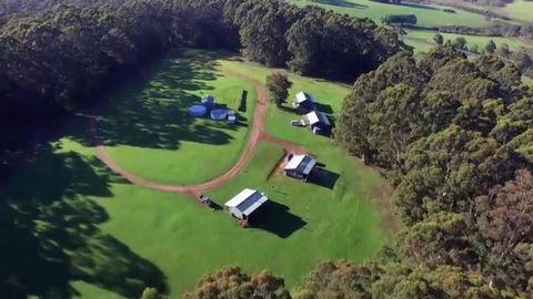 Tinglewood Cabins - Accommodation Gladstone 0