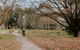 Tiny Boorowa By Tiny Away - thumb 2