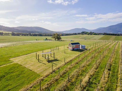 Warburton Tiny House - Tiny Stays - Accommodation Gladstone 2