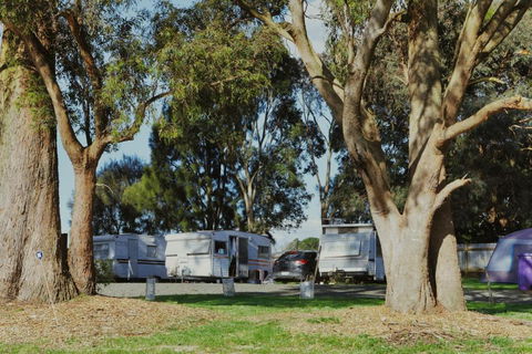 Woodmans Hill Motel - Accommodation Gladstone 2