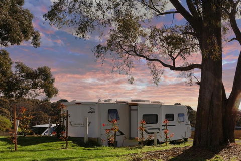 Woodmans Hill Motel - Accommodation Gladstone 3