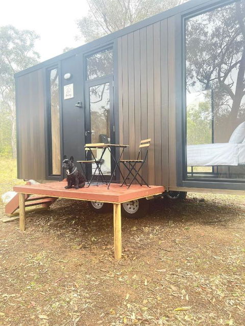 Whispering Wallaby By Tiny Away - Accommodation Gladstone 1