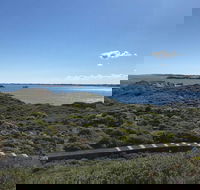 Penguin Island And Fremantle - Canoe Chocolate  Coffee - Accommodation Gladstone