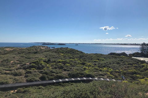 Penguin Island And Fremantle - Canoe, Chocolate & Coffee - Accommodation Gladstone 0