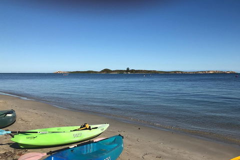 Penguin Island And Fremantle - Canoe, Chocolate & Coffee - Accommodation Gladstone 2