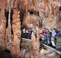 Private Tour Jenolan Caves  Blue Mountains in a day - Accommodation Gladstone