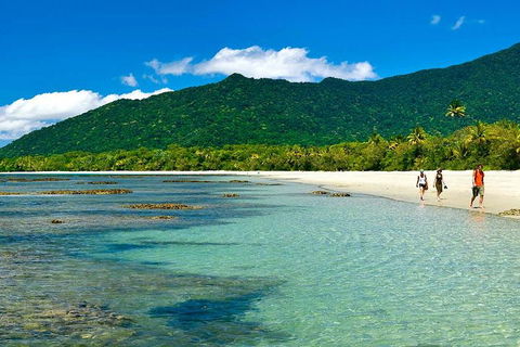 5-Day Best Of Cairns With Daintree, Kuranda, And Great Barrier Reef - Accommodation Gladstone 0