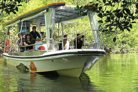 5-Day Best Of Cairns With Daintree, Kuranda, And Great Barrier Reef - Accommodation Gladstone 1