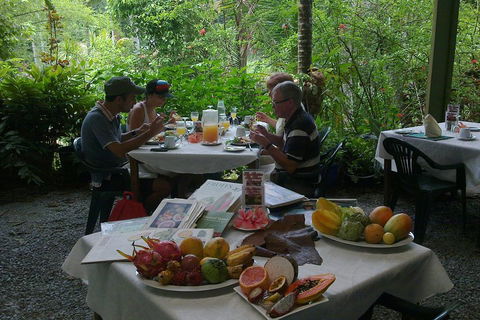 5-Day Best Of Cairns With Daintree, Kuranda, And Great Barrier Reef - Accommodation Gladstone 4