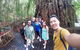 Cairns 4WD Waterfall And Rainforest Tour Including Kuranda Scenic Railway - thumb 0