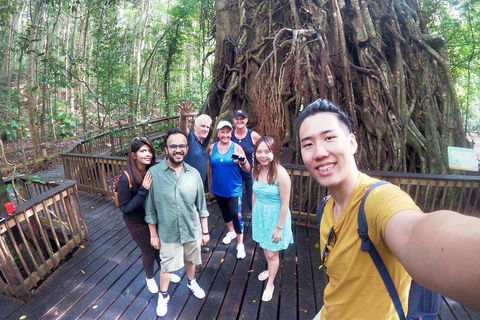 Cairns 4WD Waterfall And Rainforest Tour Including Kuranda Scenic Railway - Accommodation Gladstone 0