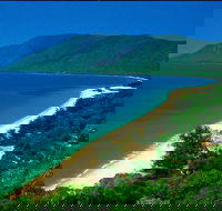 Cairns Reef and Rainforest Combo Daintree Rainforest and the Great Barrier Reef - Accommodation Gladstone