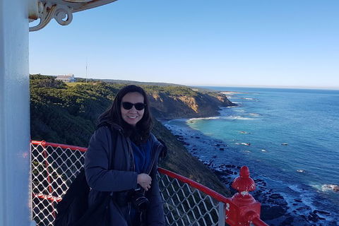 Great Ocean Road Full Day Private Experience - Accommodation Gladstone 1