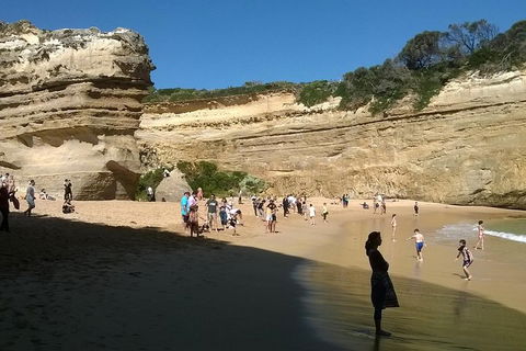 Great Ocean Road Full Day Private Experience - Accommodation Gladstone 3