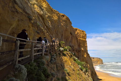 Private Express Experience - 12 Apostles - Accommodation Gladstone 3