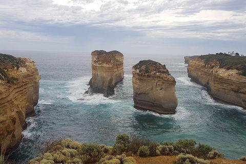 Private Express Experience - 12 Apostles - Accommodation Gladstone 5