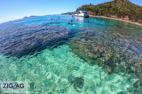 Whitehaven Beach Day Tour With Snorkel In Whitsundays Island - Accommodation Gladstone 5
