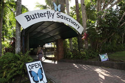 Kuranda Day Trip From Port Douglas Upgrade To Skyrail & Scenic Train Available - Accommodation Gladstone 0