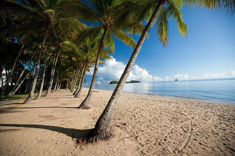 Kuranda Day Trip From Port Douglas Upgrade To Skyrail & Scenic Train Available - Accommodation Gladstone 1