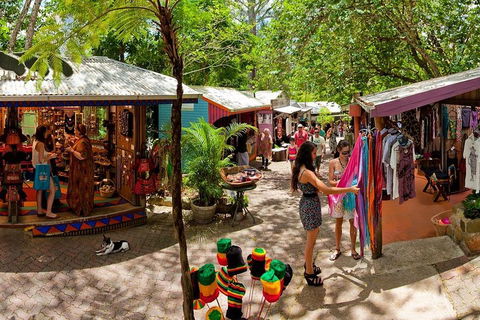 Kuranda Day Trip From Port Douglas Upgrade To Skyrail & Scenic Train Available - Accommodation Gladstone 2