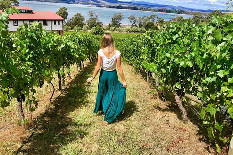 Tamar Valley Wine Tour With Lunch - Accommodation Gladstone 2