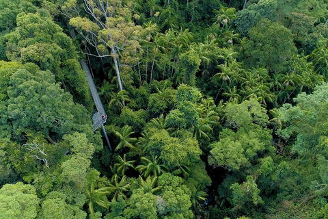 Natural Bridge, Skywalk And Mt Tamborine Adventure! - Accommodation Gladstone 2