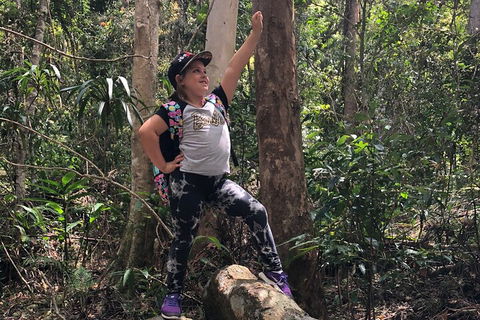 Natural Bridge, Skywalk And Mt Tamborine Adventure! - Accommodation Gladstone 3
