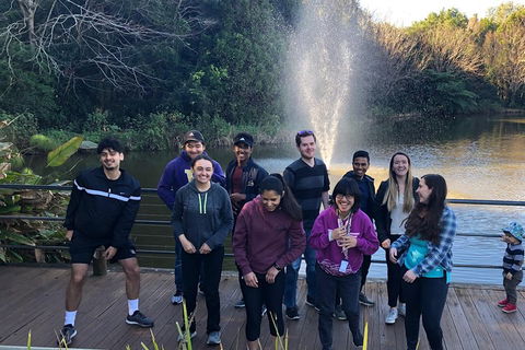 Natural Bridge, Skywalk And Mt Tamborine Adventure! - Accommodation Gladstone 4