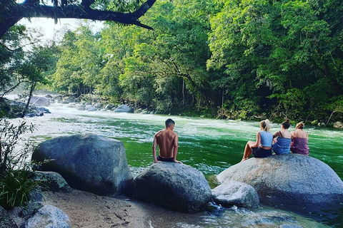 Afternoon Half-Day Daintree Rainforest And River Tour - Accommodation Gladstone 0