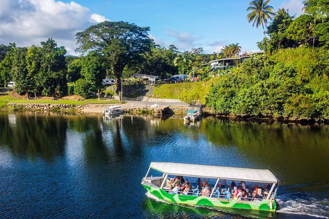 Afternoon Half-Day Daintree Rainforest And River Tour - Accommodation Gladstone 1