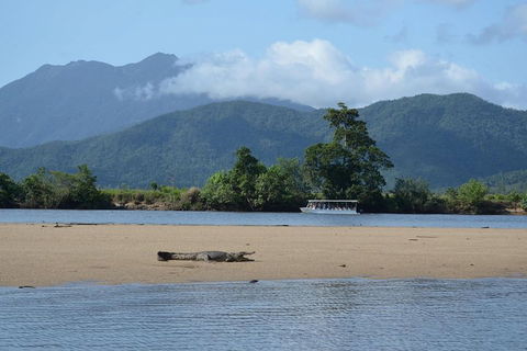 Afternoon Half-Day Daintree Rainforest And River Tour - Accommodation Gladstone 2