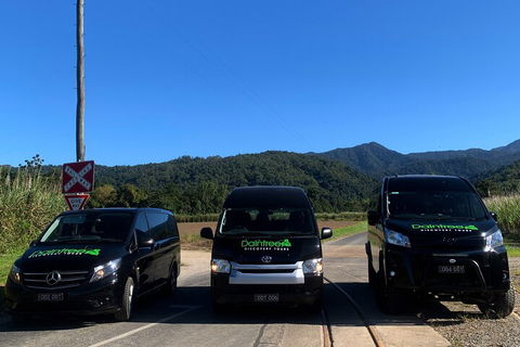 Afternoon Half-Day Daintree Rainforest And River Tour - Accommodation Gladstone 4