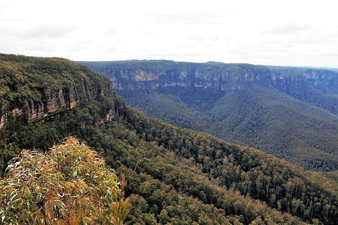 Blue Mountains - Accommodation Gladstone 3