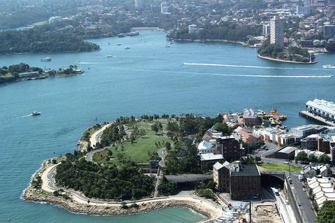 Half Day Manly Beach And More - Accommodation Gladstone 1