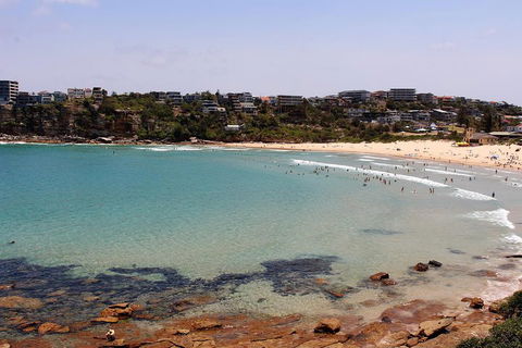 Half Day Manly Beach And More - Accommodation Gladstone 2