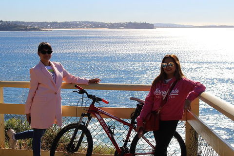 Half Day Manly Beach And More - Accommodation Gladstone 4