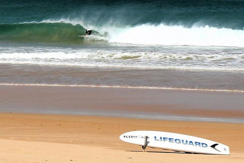Half Day Manly Beach And More - Accommodation Gladstone 5