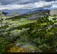 3-Day Tour to the Falls Mountains Lake  More of West Coast Tasmania