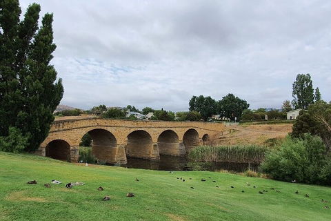 Port Arthur, Richmond And Tasman Peninsula Day Trip From Hobart - Accommodation Gladstone 3